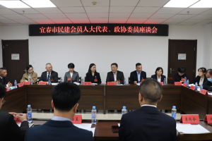 楊文龍出席宜春市民建會員人大代表、政協委員座談會